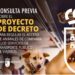 Murcia prepara una norma común para que las mascotas puedan viajar en el transporte público