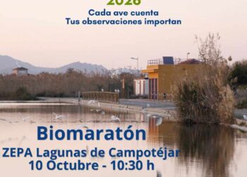 Molina de Segura invita a descubrir las aves migratorias de las lagunas de Campotéjar
